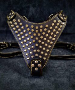 The "Gladiator" harness Gold/Silver