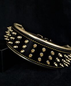 The "Gold Giant" collar