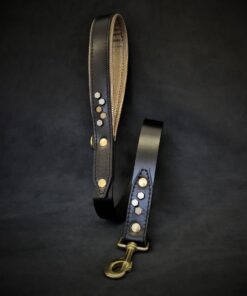 The "Iron Man" Leash