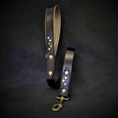 The "Iron Man" Leash