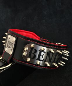 The "Kennel" collar- personalized!