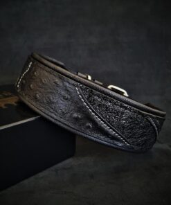 The "Korona" collar BLACK EDITION