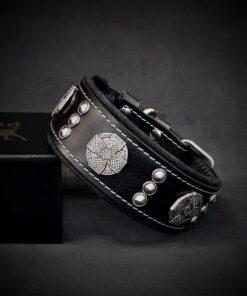 The "Maximus" collar 2 inch wide black & silver