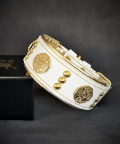 The "Maximus" collar 2 inch wide white & gold