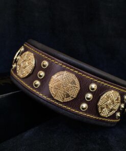 The "Maximus" collar 2.5 inch wide brown & gold