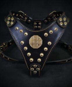 The ''Maximus'' harness Black & Gold  Small to Medium Size