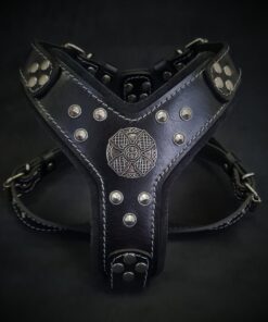 The ''Maximus'' harness black & silver Small to Medium Size