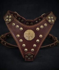 The ''Maximus'' harness Brown & Gold Small to Medium Size