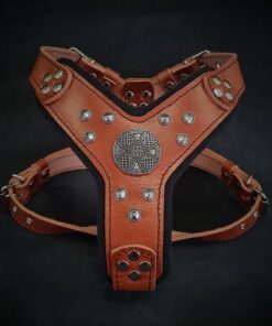 The ''Maximus'' harness brown & silver Small to Medium Size