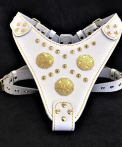 The "Maximus" harness White