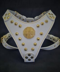 The ''Maximus'' harness White & Gold Small to Medium Size