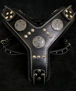 The "Maximus" silver harness
