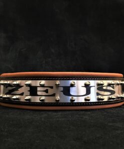 The "Metal" collar- personalized!