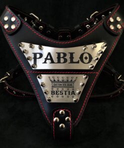 The "Metal" harness- Personalized!
