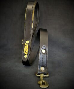 The ''Midas'' leash