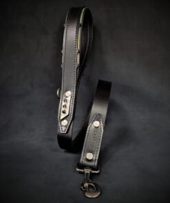 The ''Midas'' leash Silver