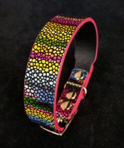 The "Moby" puppy collar