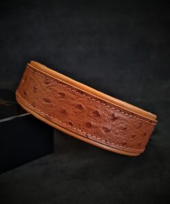 The "Ostrich" collar LIMITED