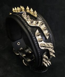 The ''Platinum'' collar
