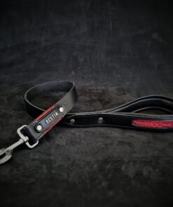 The ''Red Dragon'' leash