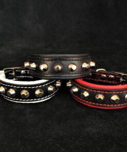 The "Rock" collar