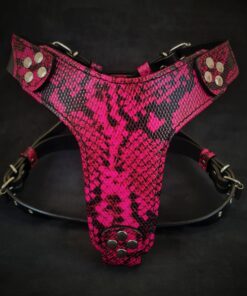 The ''Rock Python'' harness Small to Medium Size