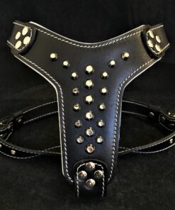 The "Rocky" studded leather harness Small to Medium Size