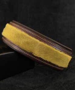 The ''Shrek'' collar