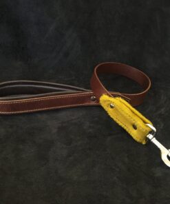 The "Shrek" leash