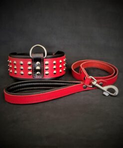 The "Star" Set- collar & leash
