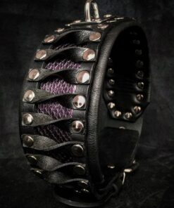 The ''Steampunk'' collar exclusive design