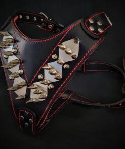 The "Steel" harness