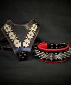 The "Steel" Set
