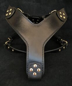 The ''Style'' harness Black