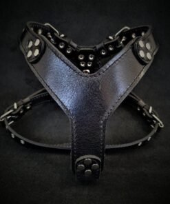 The ''Style'' harness Black Small to Medium Size