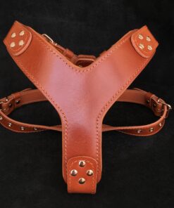 The ''Style'' harness Brown