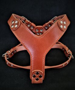 The ''Style'' harness Brown Small to Medium Size