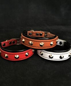 The "Superstar" puppy dog collar