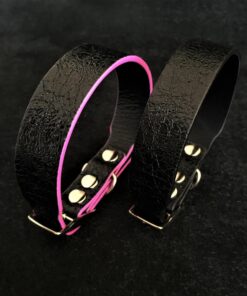 The ''Taurus'' puppy collar
