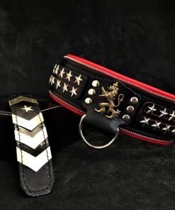 The unique "General" leather dog collar for big dogs