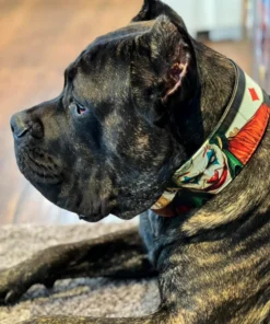 The Joker Limited Collar - Afbeelding 6