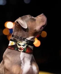 The Joker Limited Collar - Afbeelding 7