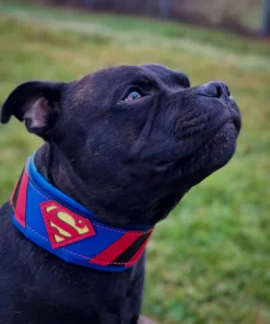 ''Superman'' collar - Afbeelding 4