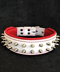 White "Frenchie" dog collar