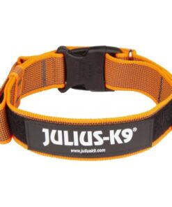 Halsband Met Beveiligingssluiting  - 40mm x 38-53cm