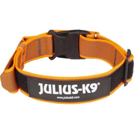 Halsband Met Beveiligingssluiting  - 40mm x 38-53cm