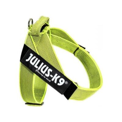 IDC Riemtuig Neon
