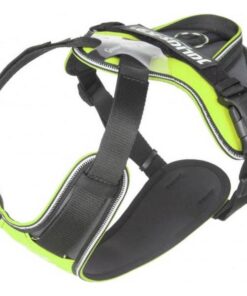 IDC Longwalk Neon