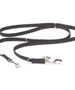 Antislip Hondenriem - Verstelbaar 20mm x 2,2m