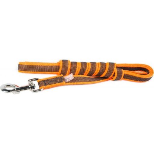 Lange lijn hond - Antislip - 20mm x 3m - Afbeelding 5